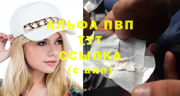 сатива Козельск