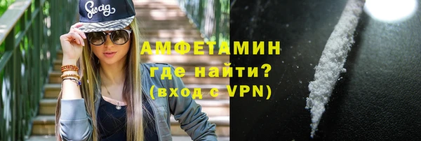 сатива Козельск