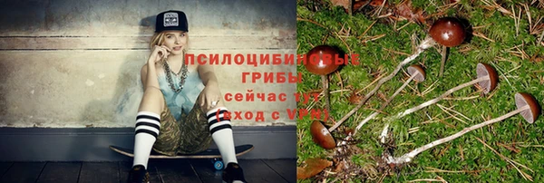 бутират Карпинск