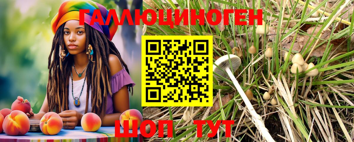 Галлюциногенные грибы MAGIC MUSHROOMS Малгобек